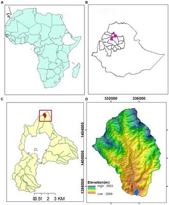 Understanding sedimentation trends to enhance sustainable reservoir management in the Angereb reservoir, Upper Blue Nile Basin, Ethiopia